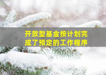 开放型基金按计划完成了预定的工作程序