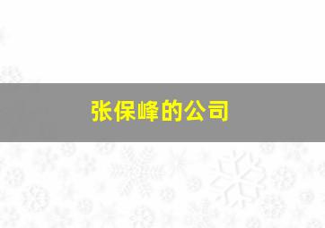 张保峰的公司