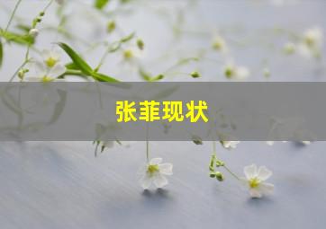 张菲现状