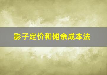 影子定价和摊余成本法