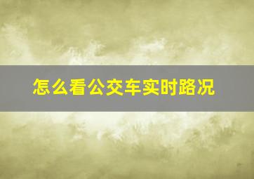 怎么看公交车实时路况