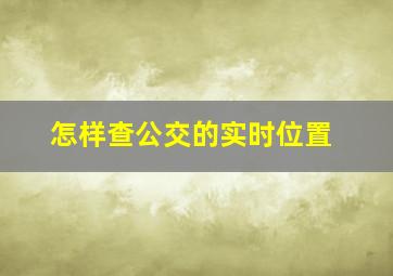 怎样查公交的实时位置