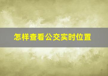 怎样查看公交实时位置