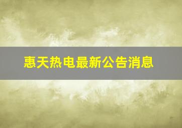 惠天热电最新公告消息