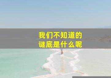 我们不知道的谜底是什么呢