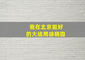 我在北京挺好的大结局徐晓园