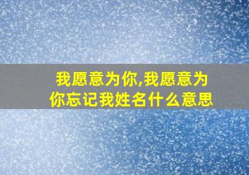 我愿意为你,我愿意为你忘记我姓名什么意思