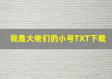 我是大佬们的小号TXT下载