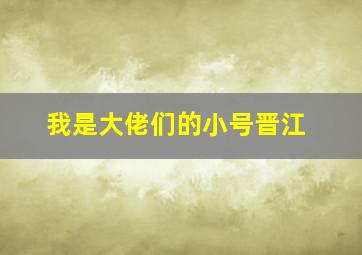 我是大佬们的小号晋江