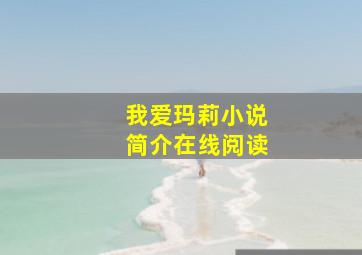 我爱玛莉小说简介在线阅读