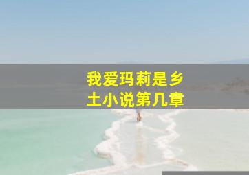 我爱玛莉是乡土小说第几章