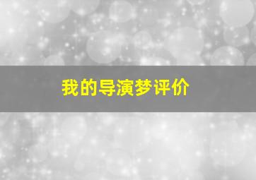 我的导演梦评价