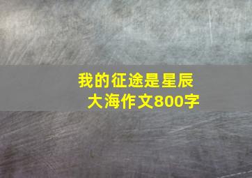 我的征途是星辰大海作文800字