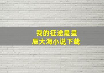 我的征途是星辰大海小说下载