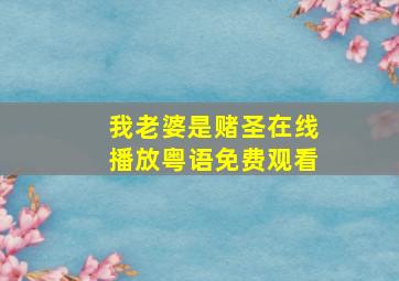 我老婆是赌圣在线播放粤语免费观看