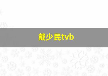 戴少民tvb