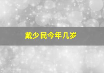 戴少民今年几岁