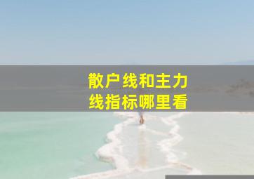 散户线和主力线指标哪里看