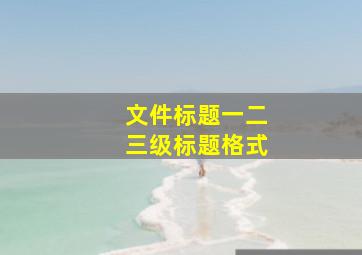 文件标题一二三级标题格式