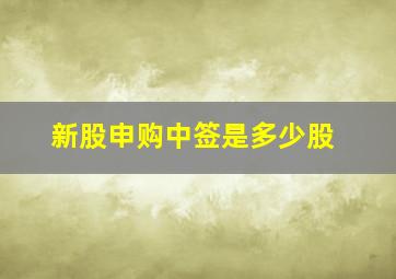 新股申购中签是多少股