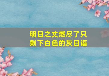 明日之丈燃尽了只剩下白色的灰日语