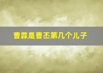 曹霖是曹丕第几个儿子