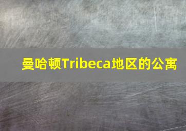 曼哈顿Tribeca地区的公寓