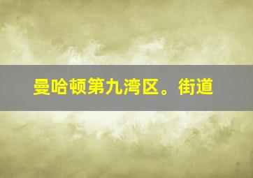 曼哈顿第九湾区。街道