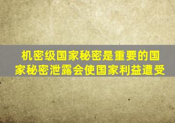 机密级国家秘密是重要的国家秘密泄露会使国家利益遭受