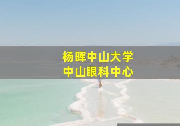 杨晖中山大学中山眼科中心