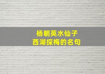 杨朝英水仙子西湖探梅的名句