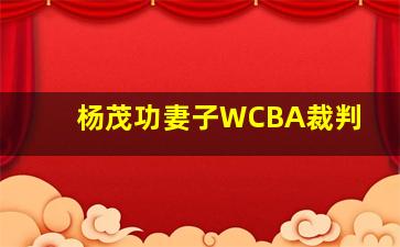 杨茂功妻子WCBA裁判