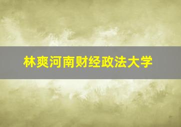 林爽河南财经政法大学