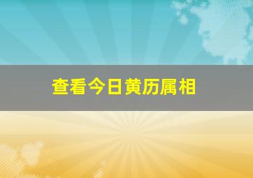 查看今日黄历属相