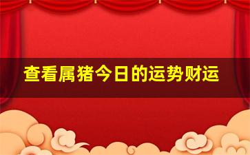 查看属猪今日的运势财运