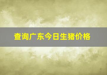 查询广东今日生猪价格