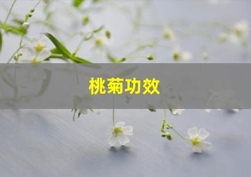 桃菊功效