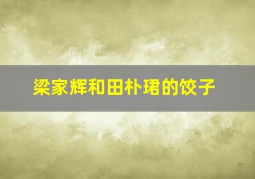 梁家辉和田朴珺的饺子