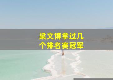 梁文博拿过几个排名赛冠军