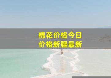 棉花价格今日价格新疆最新