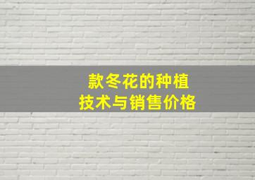 款冬花的种植技术与销售价格