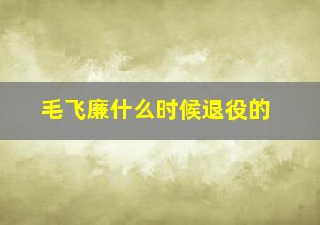 毛飞廉什么时候退役的