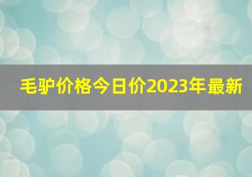 毛驴价格今日价2023年最新