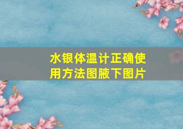 水银体温计正确使用方法图腋下图片