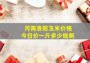 河南洛阳玉米价格今日价一斤多少钱啊