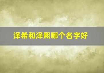 泽希和泽熙哪个名字好