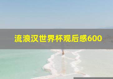 流浪汉世界杯观后感600