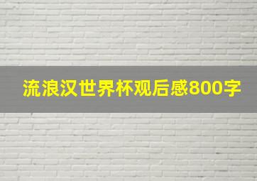 流浪汉世界杯观后感800字