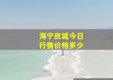 海宁皮城今日行情价格多少