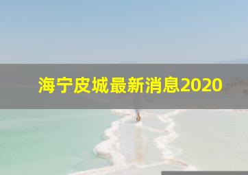 海宁皮城最新消息2020